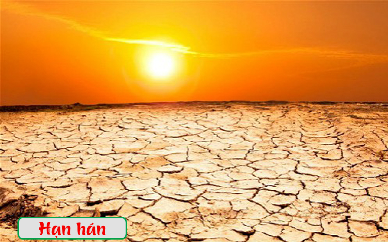 Thảm họa lịch sử El Nino có khả năng tái diễn